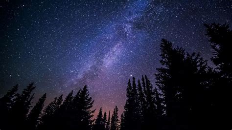 Start studying astronomy homework galaxies. The adventurous journey of the stars in the centre of our ...