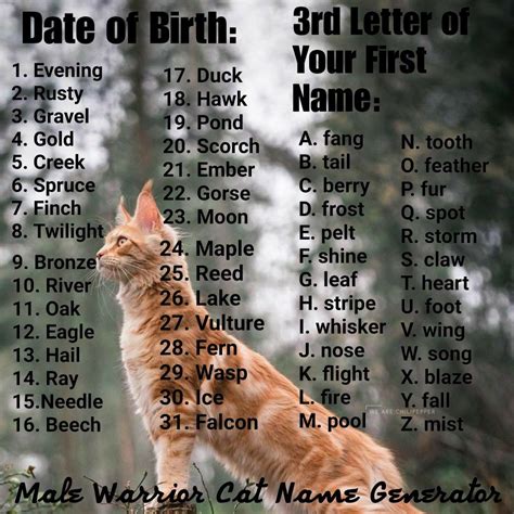 If you would like a name generator for a specific type of animal see some of our other pet name. Adjective Animal Name Generator - SANIMALE