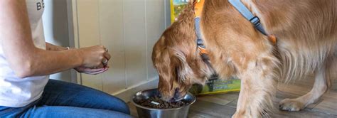 But many of the old options were lacking in flavor. 5 Best Freeze-Dried Dog Food - Nov. 2020 - BestReviews