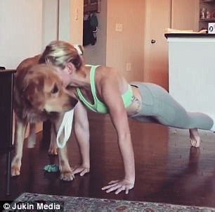 Brunette, wife, doggystyle, amateur, babes. Dog bothers NC woman as she does push-ups in living room ...