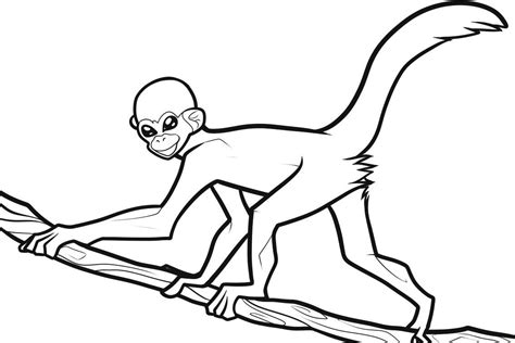 Explore 623989 free printable coloring pages for your kids and adults. Free Printable Monkey Coloring Pages For Kids