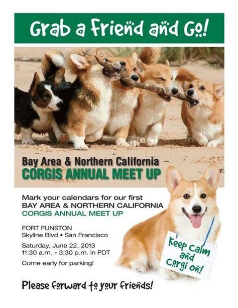 Looking for corgi puppies for sale in the nyc area? Corgi Breeders California Bay Area - Pets and Animal ...