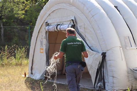 News e aggiornamenti su politica, cronaca, esteri, economia, sport e attualità. Scossa terremoto magnitudo 3.2 in Molise - Ultima Ora - ANSA.it