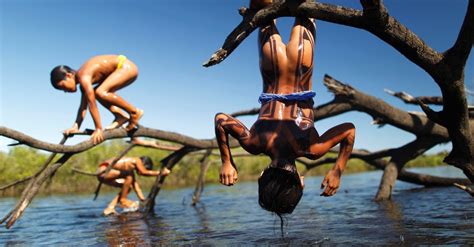 También tiene un gobierno de un presidente electo y un consejo tribal. Veja imagens da maior reserva indígena do Brasil - Fotos ...