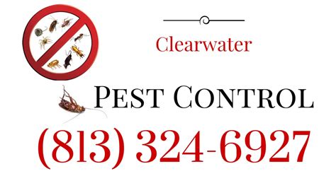 Ocp termite & pest control clearwater exterminator offers many indoor and outdoor pest control services throughout the year. Home Pest Control Clearwater FL | Termite Control - YouTube