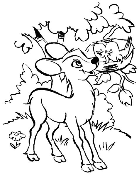 coloriage faon 03 - Coloriage en ligne gratuit pour enfant