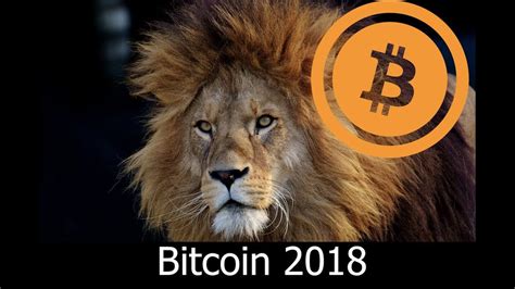 Starting the year under $4,000, the price of bitcoin rose nearly $10,000 to hit $13,880 by the middle. Whats Up With Bitcoin Price? Big Year For Bitcoin in 2018? - The Bitcoinsters