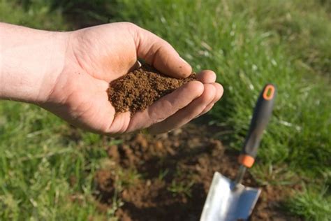Start studying cultural pest control. Cultural Practices « Landscape IPM