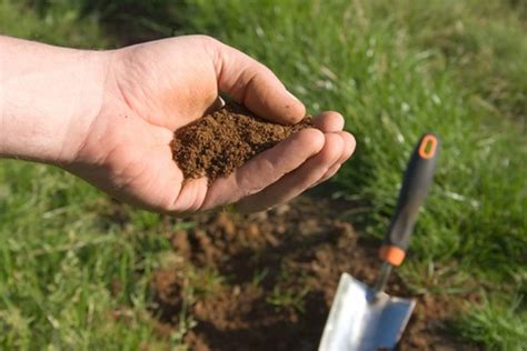 The alfalfa weevil, a native of europe, was originally detected in the us in utah in 1904. Cultural Practices « Landscape IPM