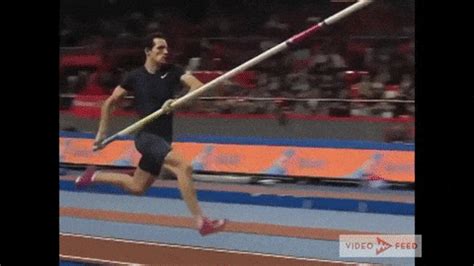 The video output from the latter is in h264. Pole Vault GIF - Find & Share on GIPHY