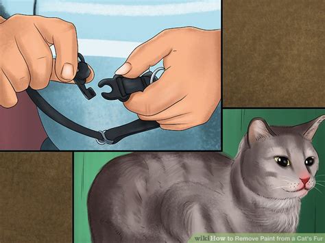 Check spelling or type a new query. 3 Ways to Remove Paint from a Cat's Fur - wikiHow