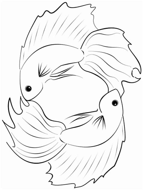 Click the beautiful betta fish coloring pages to view printable version or color it online (compatible with ipad and android tablets). 24 Betta Fish Coloring Page | Fish coloring page, Fox coloring page, Fish patterns