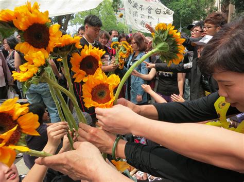 太陽 31 мая 2021 в 12:06. 一位高中生經歷的太陽花學運 | 台灣廢除死刑推動聯盟