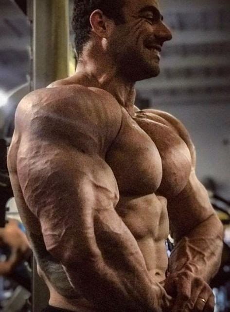 Feb 02, 2019 · the oblique muscles run along the sides of your torso, and there are two sets: Pin by Crzy4P3x on Gary Strydom | Side chest, Disneyland ...