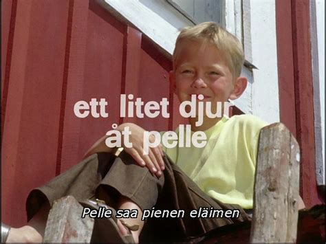 Vi på saltkråkan är en svensk dramakomediserie från 1964 i regi av olle hellbom, med manus av astrid lindgren. Elokuvahömppää: Vi på Saltkråkan: Ett litet djur åt Pelle ...