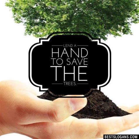 No one can imagine a world without trees. 60+ Amazing Save Trees Slogans In English For Kids & Adults - Tree Plantation & Conservation of ...