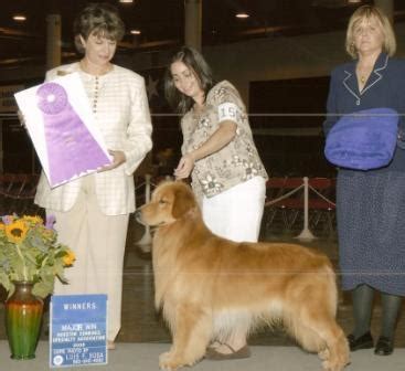 Member of golden retriever club of america, dallas fort worth golden retriever club and akc breeder of merit. Reputable Golden Retriever Breeders - Education ...