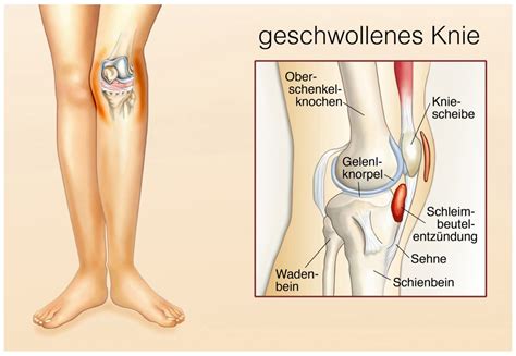 Gebogenes edelstahlrohr mit tülle, handgefertigt, geschliffen und poliert. Flüssigkeit im Knie