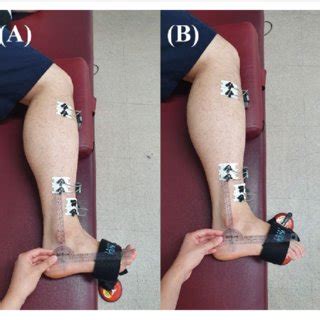 Edited by brent brookbush dpt, pt, ms, pes, ces, cscs, acsm h/fs. MRI with user outlined plantar intrinsic and extrinsic muscles group. A... | Download Scientific ...