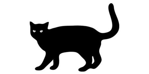 In europe, these felines were once associated with witches and the devil. History of some common superstitions