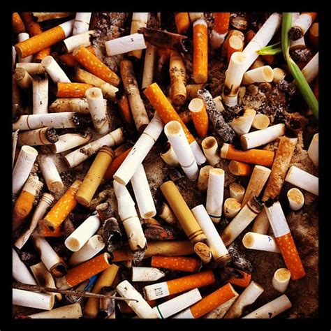 Free shipping on selected items. #cigarette #smoker #smoke #cig #marlboro #camel #nasty #gr ...