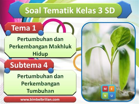 1 penyesuain diri makhluk hidup oleh : Power Point (PPT) Soal Tema 1 Kelas 3 SD Subtema 4 ...