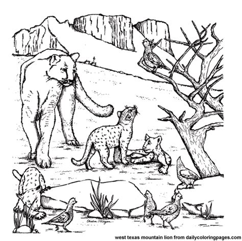 Search through 623,989 free printable colorings at getcolorings. west-texas-mountain-lion-animal-coloring-pages.png 600×599 ...