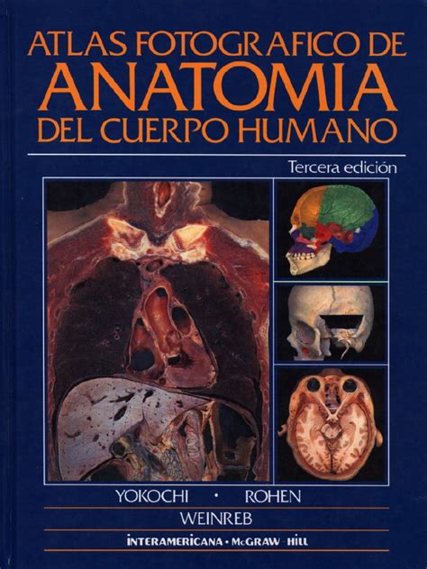 Compendio de la anatomía de las arterias de nuestro cuerpodescripción completa. Atlas Fotografico de Anatomia Del Cuerpo Humano - Yokochi ...