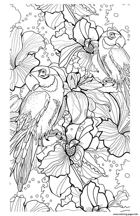 Printable parrot bird coloring pages. Adult Parrot Difficult Coloring Pages Printable