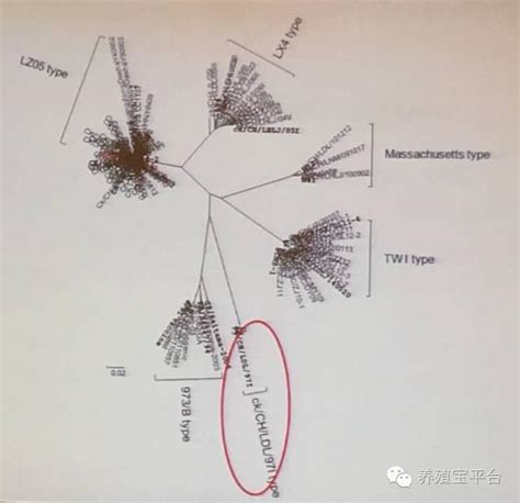 Know what's coming with accuweather's extended daily forecasts for 華盛頓哥倫比亞特區, dc. 農科院劉勝旺：中國禽類傳染性支氣管炎的現在與未來 - 每日頭條