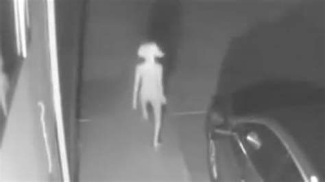 You can contribute to this wiki. Odd creature caught on security camera, and Internet has ...
