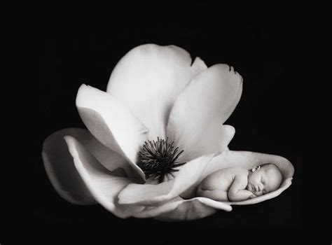 Anne Geddes Reveals Why She Stopped Taking Iconic Photos of Babies