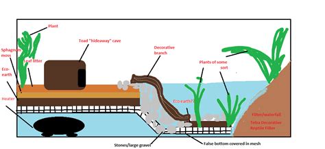 Check spelling or type a new query. Plans for my 1st vivarium build. Suggestions/advice needed!