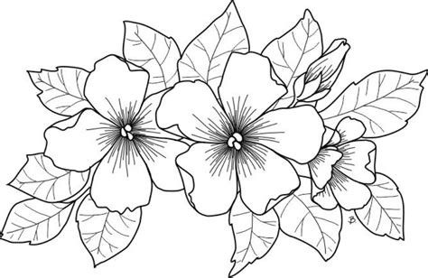 Image result for flores bonitas para dibujar a lapiz profesionales. Dibujos de flores hermosas para colorear