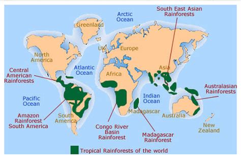 Identify the locations of tropical rainforests. Map of all the Rainforests