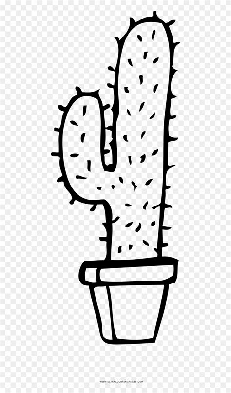 You can find it growing in the hills wild, and scattered throughout neighborhoods, especially alongside fencing. Cactus Coloring Page - Eastern Prickly Pear Clipart ...