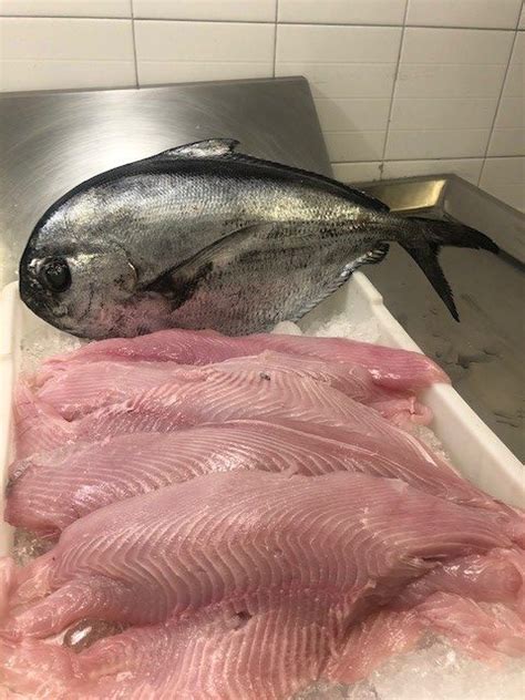 Le scaloppine che propongo questo mese sono di pesce, ho utilizzato pesce spada e platessa, veloci da cucinare, gustosi e non le solite scaloppine che ogni settimana facciamo, insomma non potevo. Le scaloppine di pesce castagna sono un secondo piatto ...
