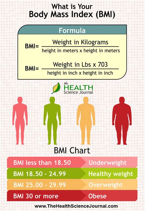 Enter your height and weight in feet, inches, and pounds or meters and kilograms and we'll compute your body mass index. Body Mass Index (BMI) | Visual.ly
