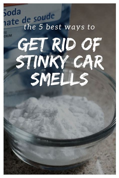 How to Get the Smelliest of Smells Out of Your Car - Real ...