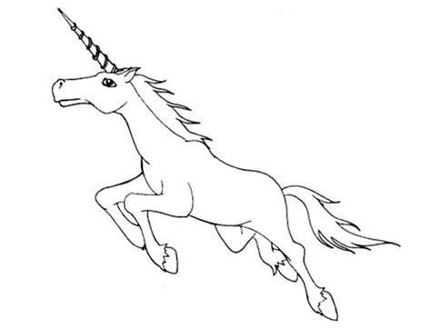 Check spelling or type a new query. Ausmalbilder Einhorn 12 | Ausmalbilder
