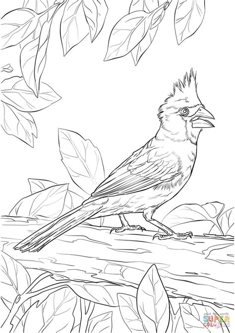 The female is mostly grayish brown with a slight reddish tint on the wings. Northern Cardinal coloring page | Free Printable Coloring ...