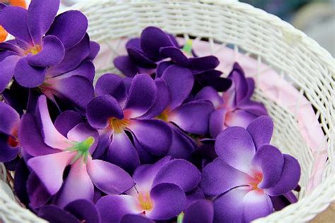 Why silk flower arrangements win over fresh flowers? Silk Flowers 25 Purple Plumeria Artificial by ...