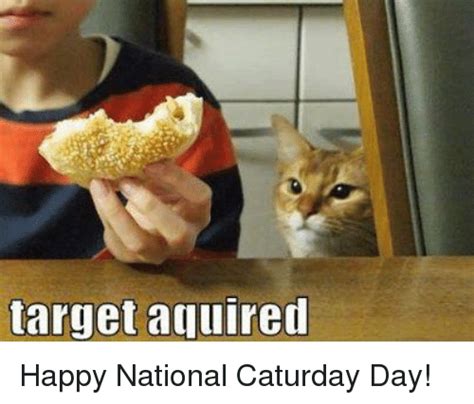 It has since spread to other websites as well as other days of the week. Happy Caturday Meme : HAPPY CATURIDA! By Kitty Works How ...