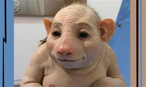 83% (1020 votes) share this video. Des scientifiques avertissent que les hybrides humain-porc ...