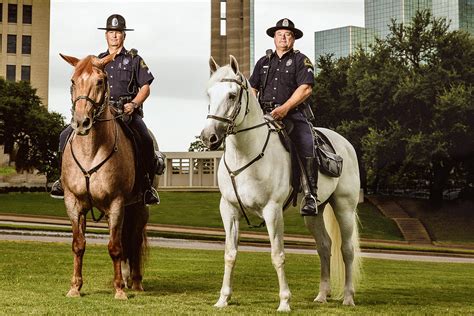 Meet Dallas PD's Mounted Unit - D Magazine