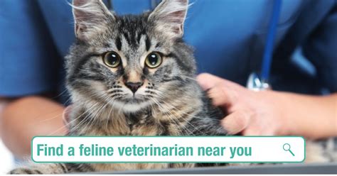 Your pet's health and well being is very important to us and we will take every step to give your pet the best possible care. Find a Veterinarian and Practice | Cat Friendly Homes