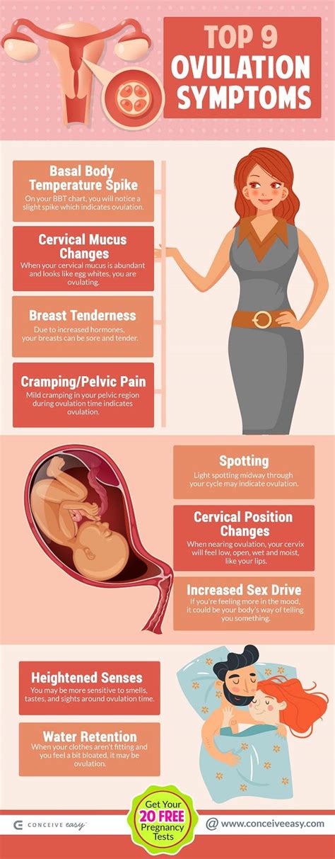 Top 9 Ovulation Symptoms Infographic | by Conceive Easy | Medium