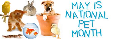 After a year or so, they will not be able. National Pet Month...Paint a new Pet Dish for your Family ...