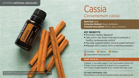 Cinnamon oil also contains chemical compounds like eugenol and cinnamaldehyde, which have antiviral, antifungal and antibacterial properties that can help to fight of fungal and bacterial infections that can affect the scalp. doTERRA Cassia Essential Oil Uses with Food and Diffuser ...