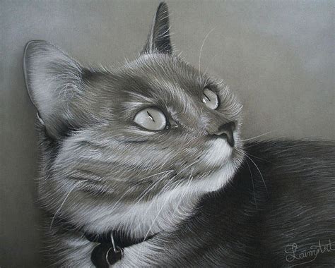 Cat ferguson is a writer based in oakland, california. Laetitia's Javel Drawing by Alaina Ferguson